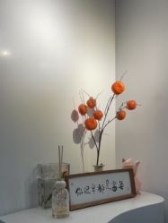 -DELAVAY黛乐薇抗衰中心