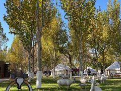 -九十九顶毡房(阜石路店)