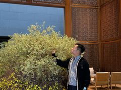 -养云安缦吧THE BAR