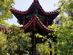 -南汇桃花村