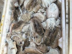 -中国舟山国际水产城