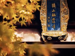 -四明山国家森林公园