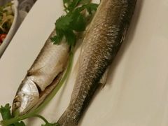 -鼎仔翅(龙湖公寓北区店)