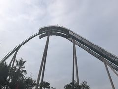 -珠海长隆海洋王国-鹦鹉过山车