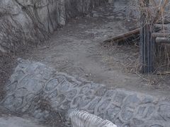 景点-北京动物园