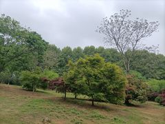 -WeLope紫金山探险公园