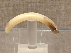 -平顶山博物馆