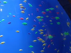 -华夏文旅西安度假区