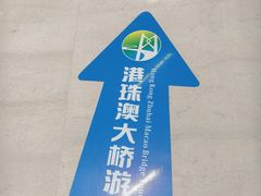 -港珠澳大桥(珠海段)