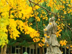 -苏州碑刻博物馆