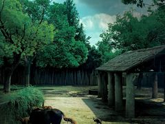 -上海野生动物园
