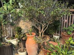 -茶油香闽南菜·花园餐厅(前埔店)