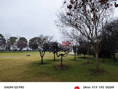 -橘子洲景区