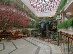 -白天鹅宾馆-宏图府餐厅