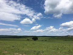 -塞罕坝国家级自然保护区