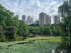 -龙头寺公园