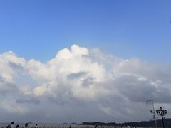 -野狸岛