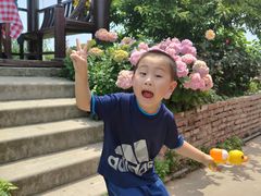 -樂桃源奉贤黄桃种植采摘基地