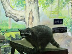 -大连圣亚海洋世界
