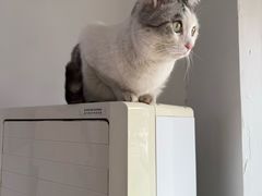 -青春加萌照相馆