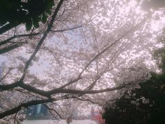 -上海港国际客运中心
