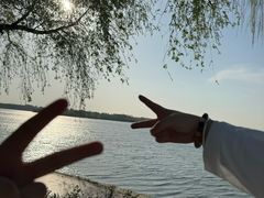 -丁香湖公园