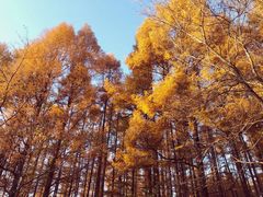 -六鼎山文化旅游区