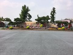-荷兰花海