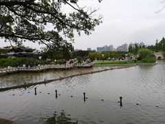 -江心屿景区