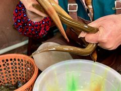 -邓莽子老火锅(中兴路总店)