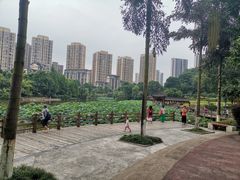 -龙头寺公园