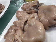-丁老爷子苏香圆