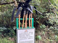 -天坛大佛
