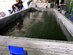 -会江钓鱼钓虾烧烤场