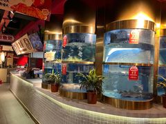 -蜀滋香鲜鱼美蛙火锅(339店)