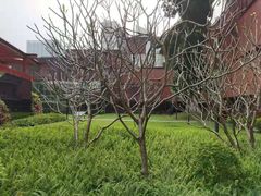 -南越王博物院(王宫展区)
