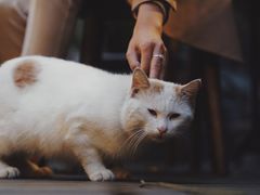 -懒鱼时光馆(沙坪坝店)