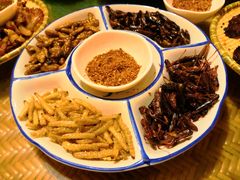 炸虫拼盘-多哥水傣味餐厅(司马巷店)