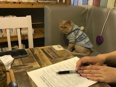 -小时光咖啡馆(开森度假森林店)