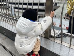 -上海外滩英迪格酒店