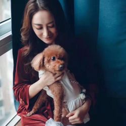 -静安洲际酒店·宴会厅