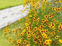 -白塘生态植物园