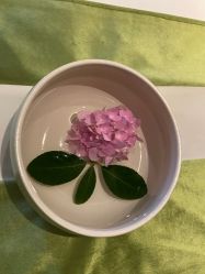 -梵隐SPA