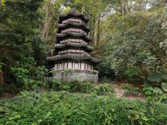 -深圳国际园林花卉博览园