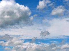 -野鸭湖国家湿地公园