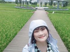 -艾米稻香小镇