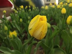 -长春公园(普阳街道)