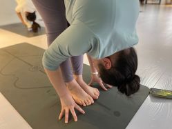 -蓝菲女子能量站·舞蹈·瑜伽·体塑