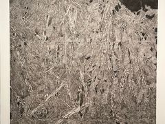 -江苏省美术馆(长江路新馆)