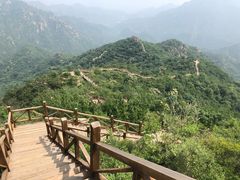 -大岭沟猕猴桃谷风景区